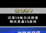 九游体育官网-包含波鸿对决沃尔夫斯堡，德乙升班马较量的词条