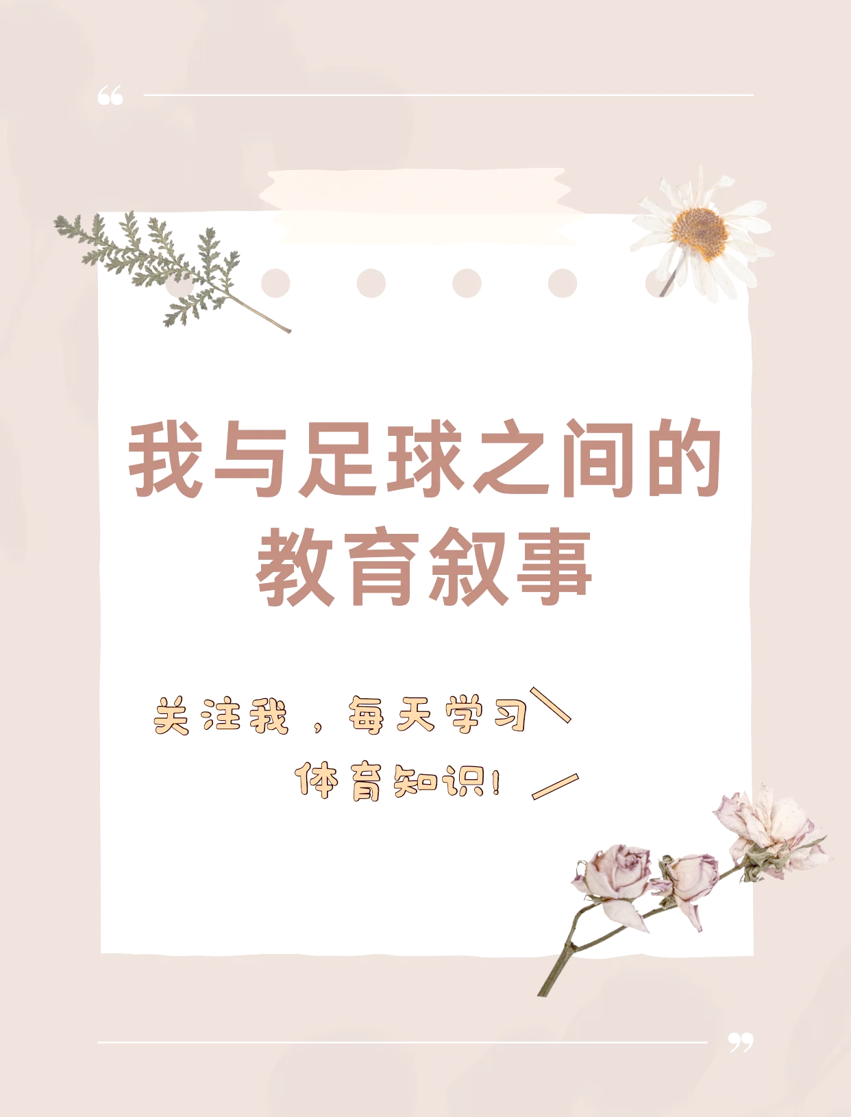 足球场上的风云变幻引人入胜